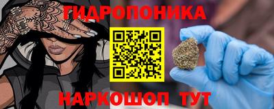 прущие грибы Пенза