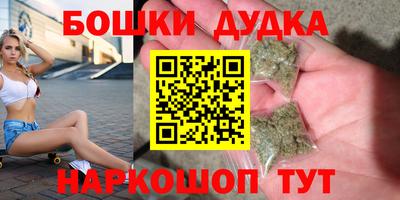 прущие грибы Пенза