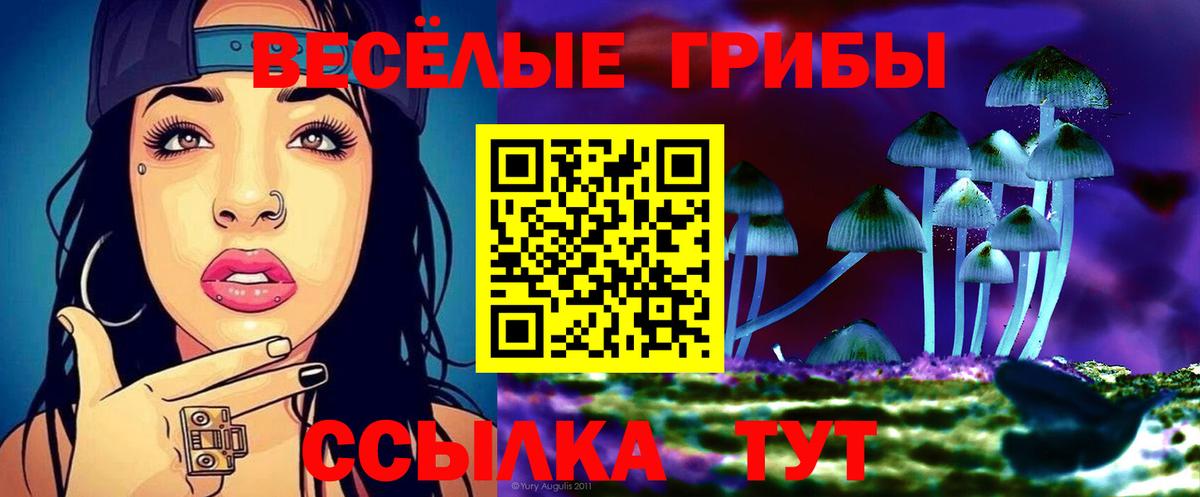 Псилоцибиновые грибы прущие грибы Ревда